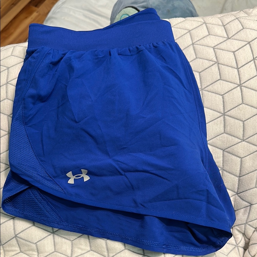 Under Armour Women's Blue Shorts